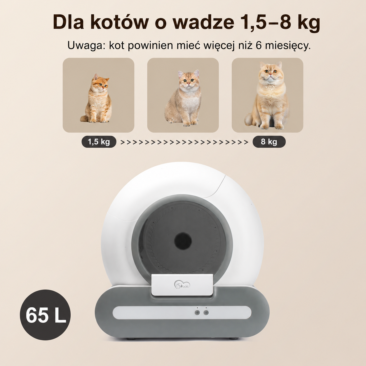 KotBox Pro 65L