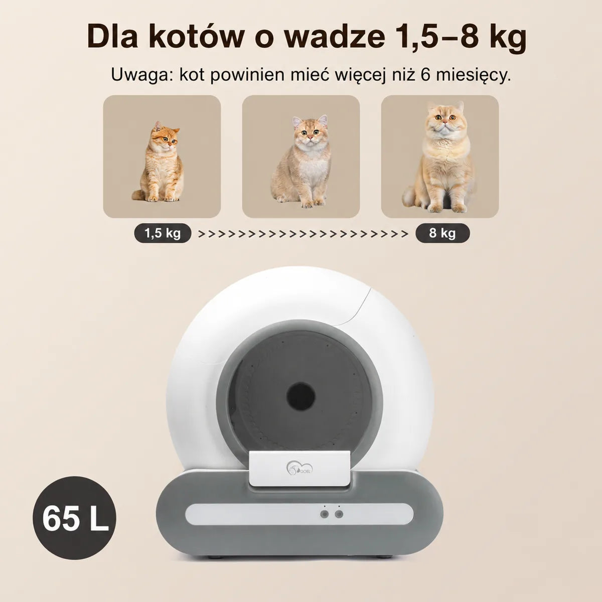 KotBox Pro 65L — w domowym wnętrzu